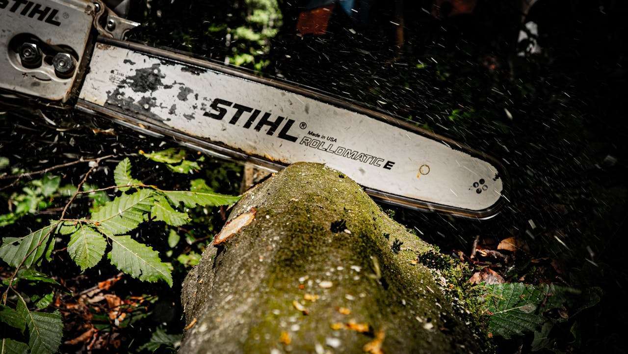 Powerful chainsaw slicing through a tree log in a dense forest in Hohenstein, Germany.