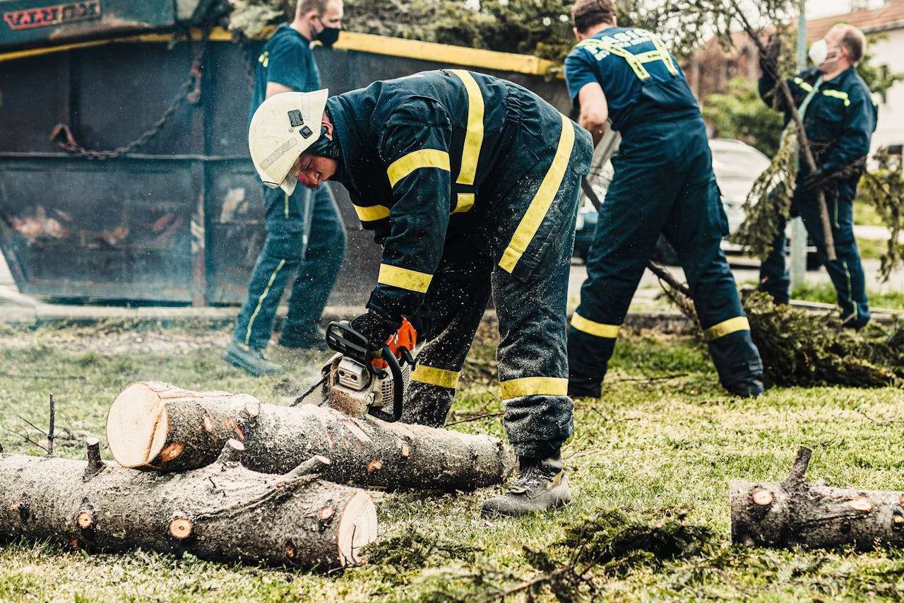 Firefighters in protective gear using a chainsaw to clear fallen trees outdoors. Teamwork in action.